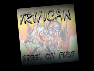 Trincan Steel Orchestra